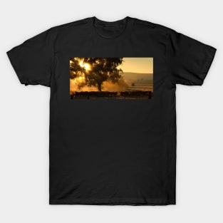 Cattle Sunrise 2 - Parkes, NSW T-Shirt